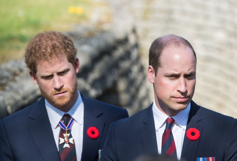 Prince Harry No Longer Despises Prince William Prince Harry No Longer Despises Prince William